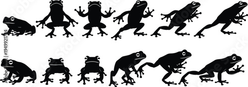 Frog silhouettes collection, amphibian animal poses set, tropical wildlife frog vector illustration isolated design