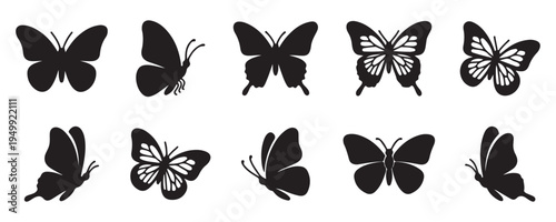 Butterfly silhouette set with various wing shapes, black insect vector illustration isolated on white background decorative collection