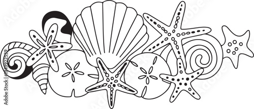 Collection of black outlines depicting marine life seashells starfish sand dollars and shells on transparent background