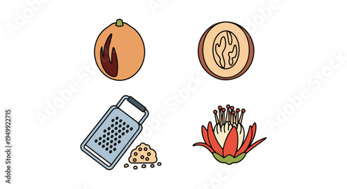 Nutmeg Line art vector set minimal color theme abstract