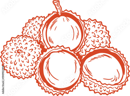 Cluster of hairy tropical fruits line drawing