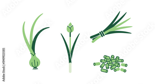 Onion Chives Line art vector minimal colorful abstract illustration