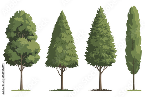 Set of four flat digital tree illustrations isolated on a white background. Collection of stylized forest trees including oak, pine and cypress icons. 