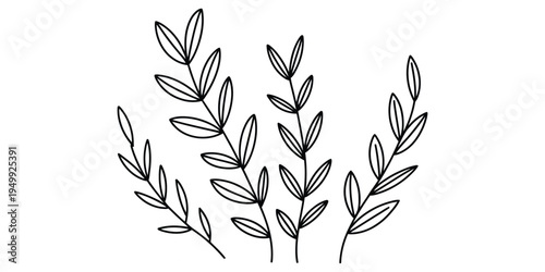 Minimalist black and white hand drawn illustration of four leafy plant stalks on white background.