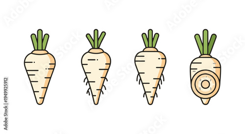 Organic Parsnip Line art abstract minimal color vector