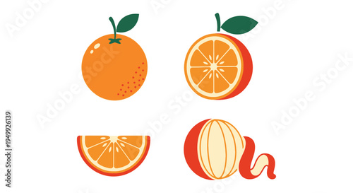 Orange Line art vector set clean vibrant abstract color illustration