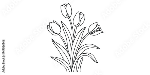 Minimalist black and white line art illustration of a bouquet of four spring tulip flowers