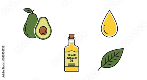 Organic Avocado Oil Line art soft elegant abstract illustration