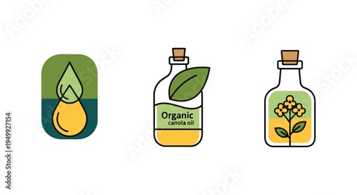 Organic Canola Oil Line art geometric abstract color vector