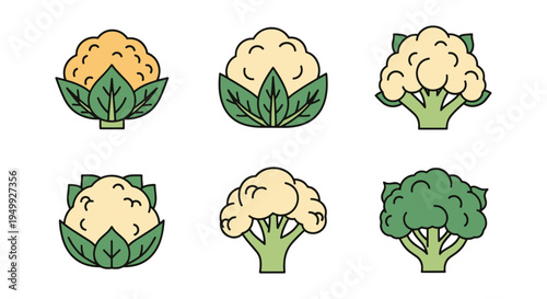 Organic Cauliflower Line art creative vibrant abstract vector
