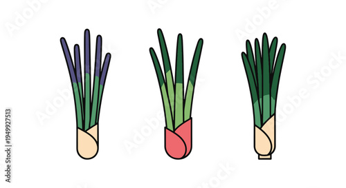Organic Chives Line art vector modern colorful abstract artwork illustration
