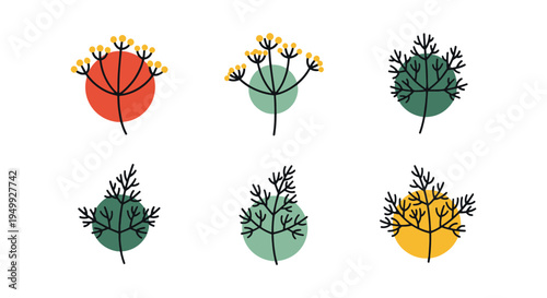 Organic Dill Line art vector clean contemporary abstract style