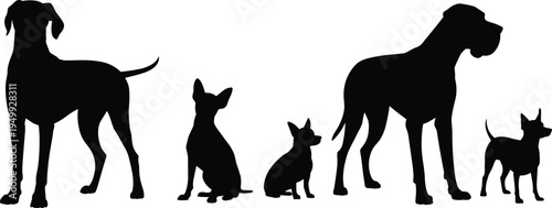 Dog silhouettes collection showing different breeds and sizes in standing and sitting poses, domestic pet animals isolated on white background vector set