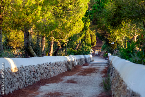 way home to Colònies des Pinaret, Ciutadella, Menorca, Balearic Islands, Spain