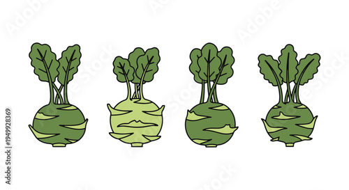 Organic Kohlrabi Line art simple artistic abstract color illustration