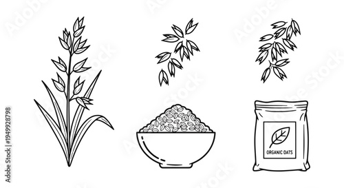 Organic Oats Line art vector clean modern abstract illustration