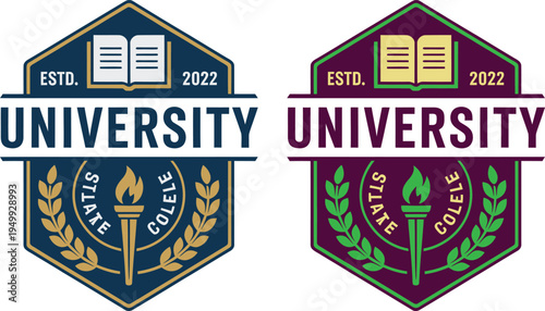 University Academic Logo Emblem Vector with Education Book and Torch for College Branding Identity