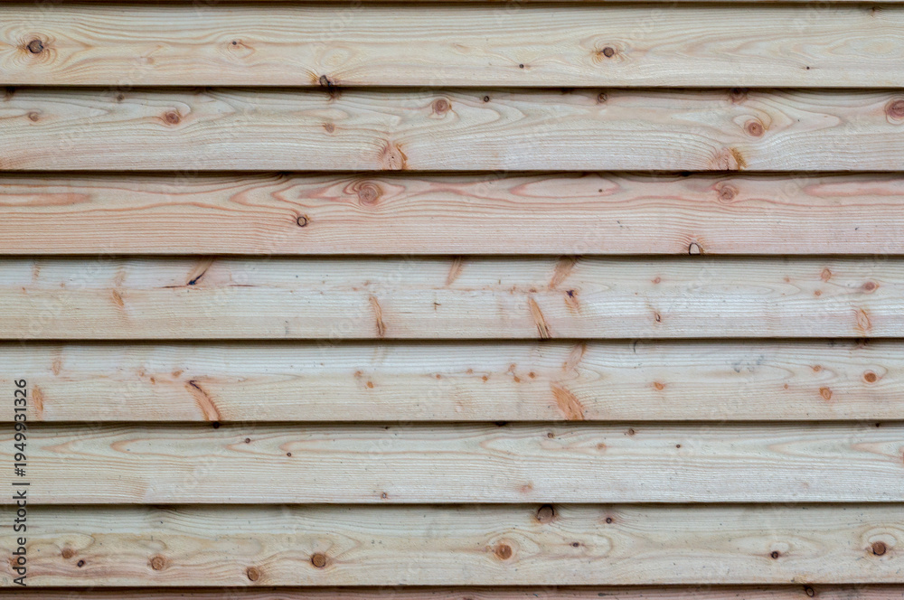 Obraz premium old wood background fence in the garden