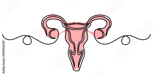 Editable continuous one line drawing uterus vector for women's health clinics. Ideal for symbolizing minimalist gynecology, modern maternity, and sleek fertility care.