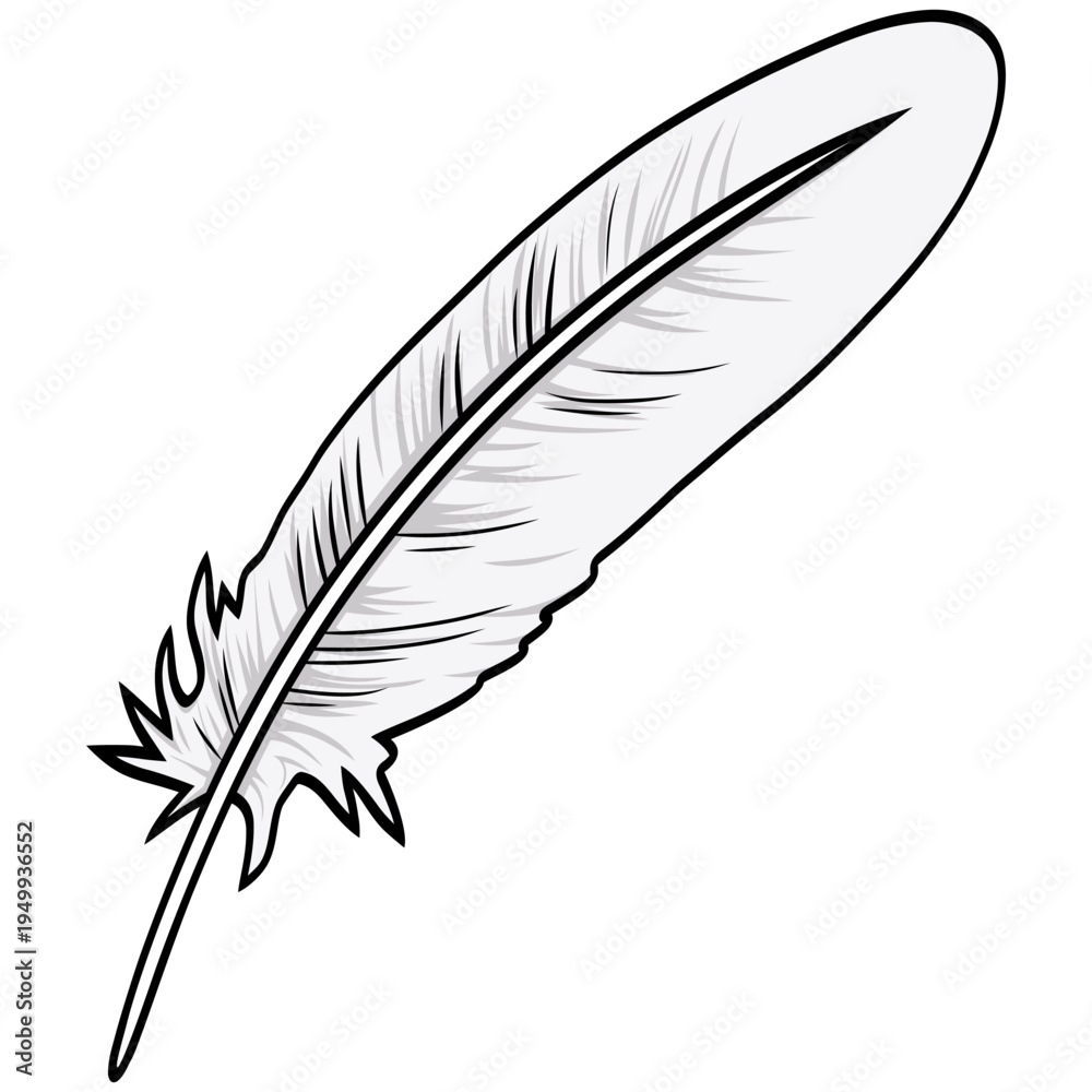 Fototapeta premium Feather Quill Pen Classic Stationery Illustration Vector