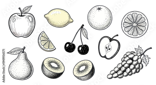Hand-drawn fruits collection: apple, pear, cherry, kiwi, lemon, orange, grape