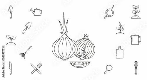 Onion bulbs and various gardening tools for planting and harvesting vegetables in a garden
