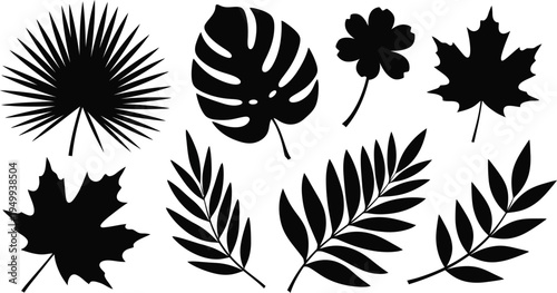 Collection of diverse tropical and autumnal leaves in stark black silhouette
