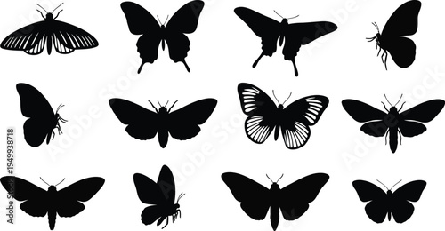 Collection of various butterfly and moth shapes in dark silhouette