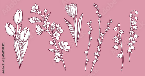 Spring flowers sketch collection. Vintage floral art set with tulips, bluebells, willow branches, cherry blossom