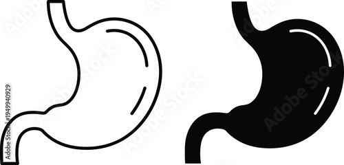 Black and white outline and solid fill of a human stomach human organ digestive system anatomy