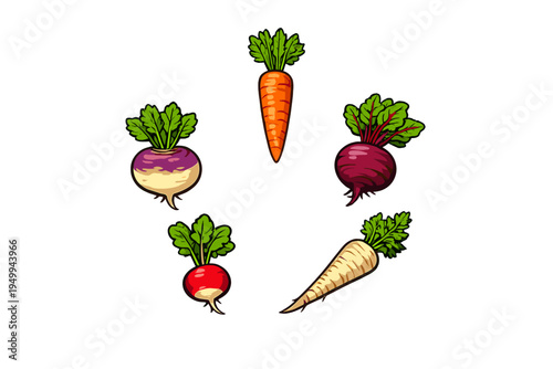 A set of five root vegetables including a carrot, beetroot, parsnip