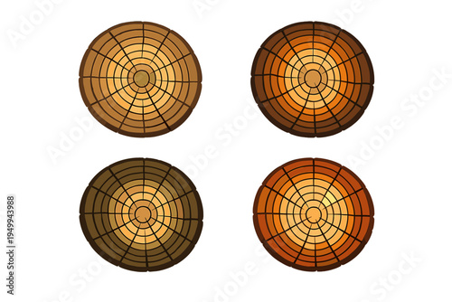 Set of four circular tree trunk cross-sections with detailed growth
