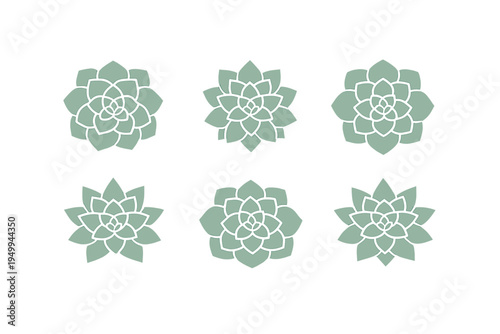 A collection of six minimalist succulent and lotus flower icons in a