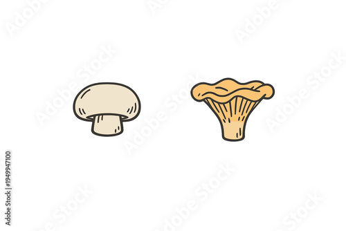 A minimalist vector illustration featuring two hand-drawn mushroom