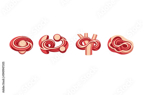 Set of four stylized vector icons representing abstract muscle