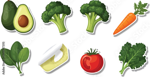 Isolated Vector Collection of Fresh Vegetable Illustrations: Avocado, Broccoli, Carrot, Spinach, Tomato, Kale isolated PNG with Transparent Background
