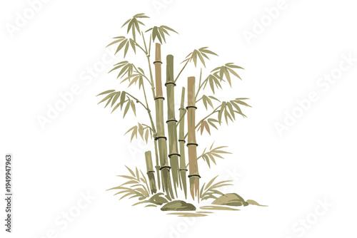 Hand-drawn vector illustration of bamboo stalks and leaves in a