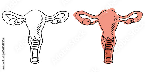 Set editable sketch drawing uterus vector for women's health blogs. Ideal for symbolizing rough gynecology concepts, hand drawn maternity, and sketchy fertility art.
