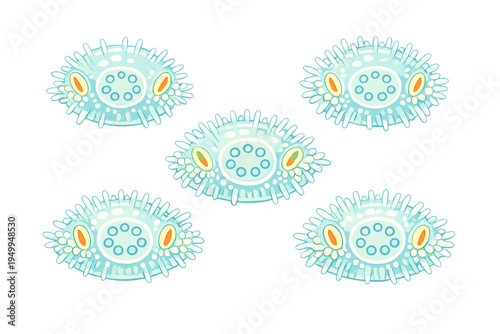 A vector illustration featuring five stylized microscopic organisms