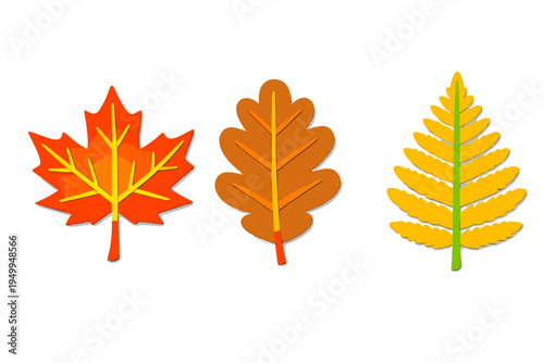 A set of three stylized autumn leaves including a maple leaf, an oak