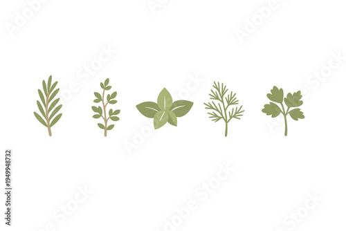 A collection of five minimalist green herb illustrations including