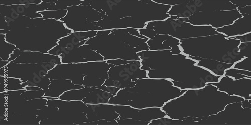 Abstract Black Background with White Cracked Earth Pattern