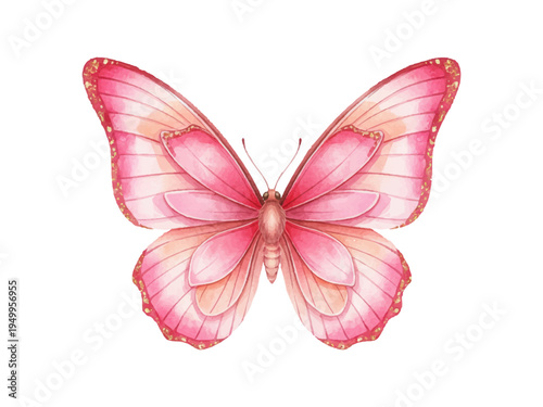 Delicate pink watercolor butterfly with soft gradient wings and golden accents. Elegant hand painted insect illustration isolated on white background, perfect for beauty, spring, wedding and decorativ