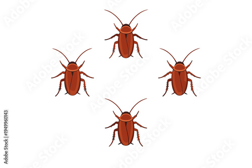 A vector illustration featuring four brown cockroaches arranged in a