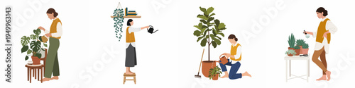 Flat vector illustration set of women taking care of indoor plants, watering monstera and fiddle leaf fig, misting succulents in a modern home environment.