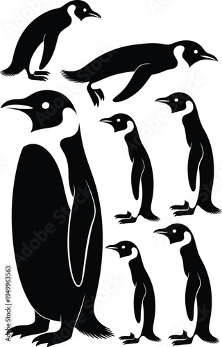 Collection of emperor penguin silhouettes in various poses including standing and swimming isolated on white background for Antarctic wildlife conservation, polar nature graphics, and zoo posters.