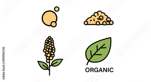 Organic Quinoa Line art vector colorful digital abstract