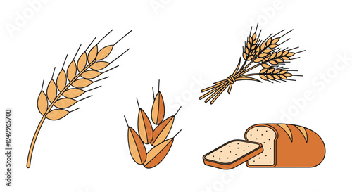 Organic Rye Line art vector modern colorful abstract artwork illustration