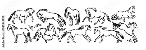 Horse sketches set, doodle outline drawings. Hand-drawn equine animals running, standing, jumping. Foals, charcoal chalk line, contour style. Handdrawn vector illustration isolated on white background