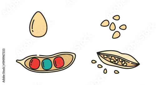 Organic Sesame Seeds Line art modern abstract vibrant vector